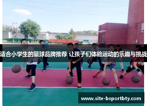 适合小学生的篮球品牌推荐 让孩子们体验运动的乐趣与挑战
