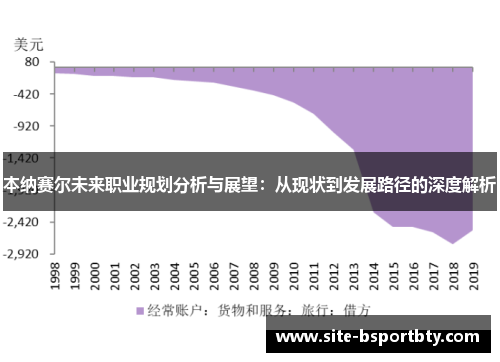 本纳赛尔未来职业规划分析与展望：从现状到发展路径的深度解析