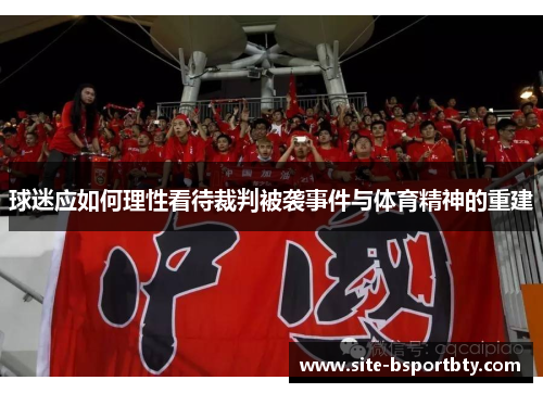 球迷应如何理性看待裁判被袭事件与体育精神的重建